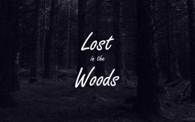 Lost In The Woods